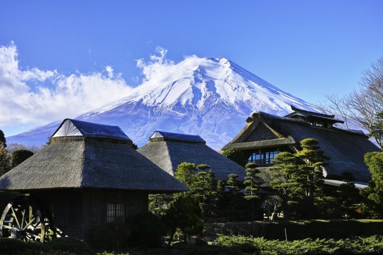 富士山と共に四季を楽しめるスポット